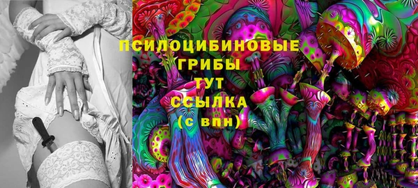 a pvp Баксан